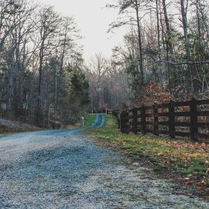 Photo #72 of 42 SHADWELL RD, KESWICK, VA 42.1 acres