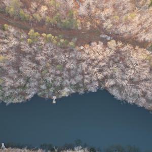 Photo #11 of 42 SHADWELL RD, KESWICK, VA 42.1 acres