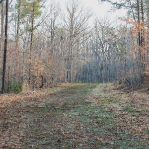 Photo #47 of 42 SHADWELL RD, KESWICK, VA 42.1 acres