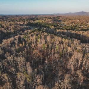 Photo #15 of 42 SHADWELL RD, KESWICK, VA 42.1 acres