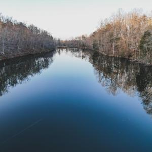 Photo #19 of 42 SHADWELL RD, KESWICK, VA 42.1 acres