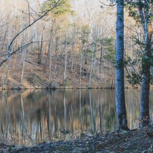 Photo #50 of 42 SHADWELL RD, KESWICK, VA 42.1 acres