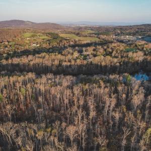 Photo #14 of 42 SHADWELL RD, KESWICK, VA 42.1 acres