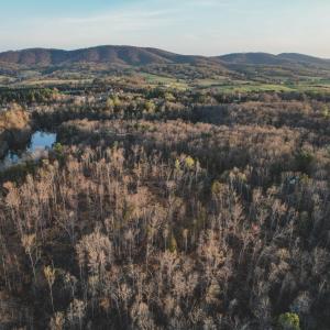 Photo #5 of 42 SHADWELL RD, KESWICK, VA 42.1 acres