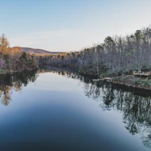 Photo #20 of 42 SHADWELL RD, KESWICK, VA 42.1 acres