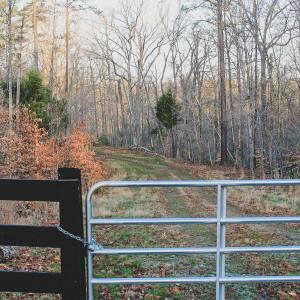 Photo #30 of 42 SHADWELL RD, KESWICK, VA 42.1 acres