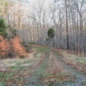 Photo #32 of 42 SHADWELL RD, KESWICK, VA 42.1 acres