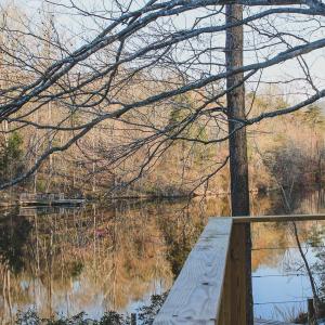 Photo #39 of 42 SHADWELL RD, KESWICK, VA 42.1 acres