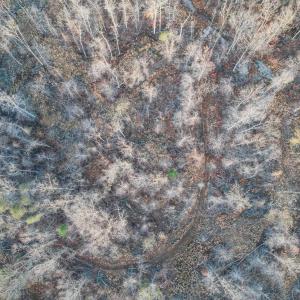 Photo #16 of 42 SHADWELL RD, KESWICK, VA 42.1 acres