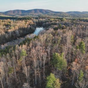 Photo #6 of 42 SHADWELL RD, KESWICK, VA 42.1 acres