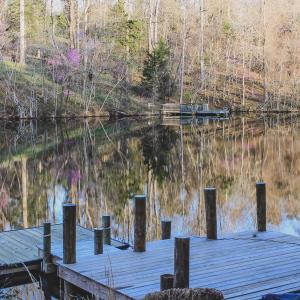 Photo #59 of 42 SHADWELL RD, KESWICK, VA 42.1 acres