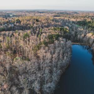 Photo #17 of 42 SHADWELL RD, KESWICK, VA 42.1 acres