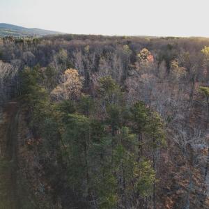 Photo #28 of 42 SHADWELL RD, KESWICK, VA 42.1 acres