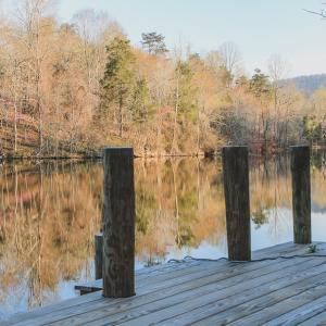 Photo #60 of 42 SHADWELL RD, KESWICK, VA 42.1 acres