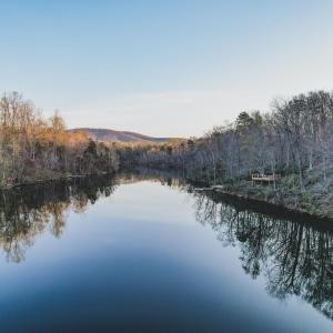 Photo #21 of 42 SHADWELL RD, KESWICK, VA 42.1 acres