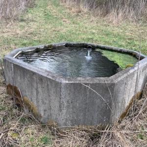 Photo #16 of TBD BIG VALLEY RD, MONTEREY, VA 99.3 acres