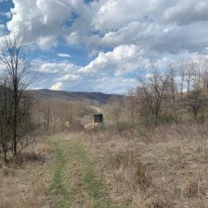 Photo #12 of TBD BIG VALLEY RD, MONTEREY, VA 99.3 acres