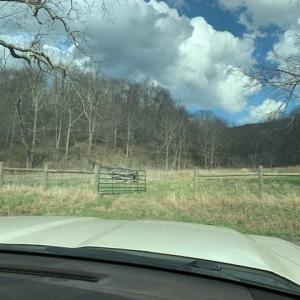 Photo #11 of TBD BIG VALLEY RD, MONTEREY, VA 99.3 acres