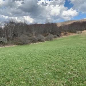 Photo #2 of TBD BIG VALLEY RD, MONTEREY, VA 99.3 acres