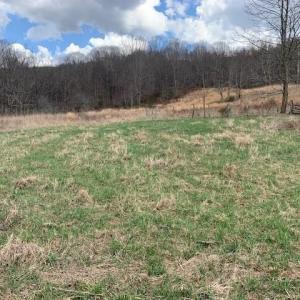 Photo #9 of TBD BIG VALLEY RD, MONTEREY, VA 99.3 acres