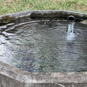 Photo #15 of TBD BIG VALLEY RD, MONTEREY, VA 99.3 acres