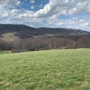 Photo #5 of TBD BIG VALLEY RD, MONTEREY, VA 99.3 acres