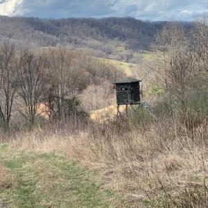 Photo #13 of TBD BIG VALLEY RD, MONTEREY, VA 99.3 acres