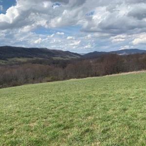 Photo #4 of TBD BIG VALLEY RD, MONTEREY, VA 99.3 acres