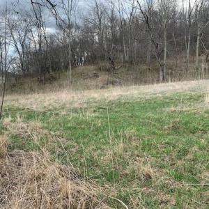 Photo #10 of TBD BIG VALLEY RD, MONTEREY, VA 99.3 acres