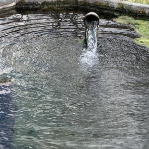 Photo #14 of TBD BIG VALLEY RD, MONTEREY, VA 99.3 acres