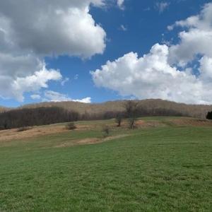 Photo #3 of TBD BIG VALLEY RD, MONTEREY, VA 99.3 acres