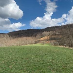 Photo #8 of TBD BIG VALLEY RD, MONTEREY, VA 99.3 acres