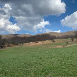 Photo #1 of TBD BIG VALLEY RD, MONTEREY, VA 99.3 acres