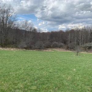 Photo #7 of TBD BIG VALLEY RD, MONTEREY, VA 99.3 acres