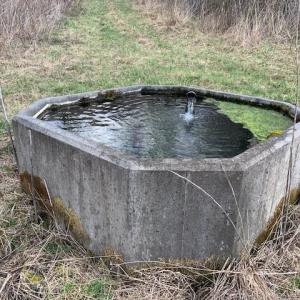 Photo #17 of TBD BIG VALLEY RD, MONTEREY, VA 99.3 acres