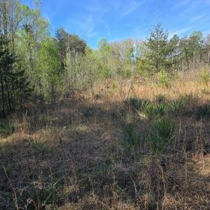 Photo #2 of KENTUCKY SPRINGS RD, MINERAL, VA 2.2 acres