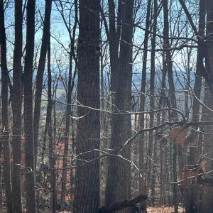 Photo #6 of tbd ROUND HILL SCHOOL RD, FORT DEFIANCE, VA 6.6 acres