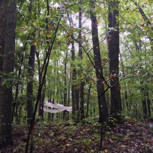 Photo #6 of tbd ROUND HILL SCHOOL RD, FORT DEFIANCE, VA 6.6 acres