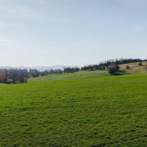 Could be a great site for a home with a walk out basement.