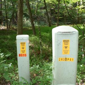 Photo #3 of HIGH VALLEY SOUTH, MONTEREY, VA 5.0 acres