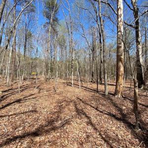 Photo #6 of 38 CREEKSIDE CL, NELLYSFORD, VA 1.1 acres
