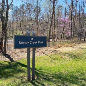 Photo #10 of 38 CREEKSIDE CL, NELLYSFORD, VA 1.1 acres