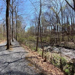 Photo #11 of 38 CREEKSIDE CL, NELLYSFORD, VA 1.1 acres