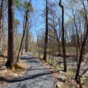 Photo #12 of 38 CREEKSIDE CL, NELLYSFORD, VA 1.1 acres