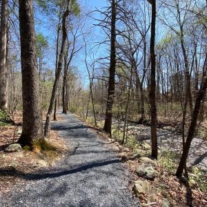 Parcel borders community open space and Stoney Creek