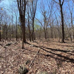 Photo #9 of 38 CREEKSIDE CL, NELLYSFORD, VA 1.1 acres