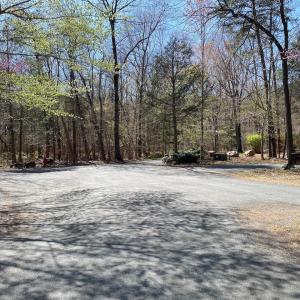 Photo #4 of 38 CREEKSIDE CL, NELLYSFORD, VA 1.1 acres