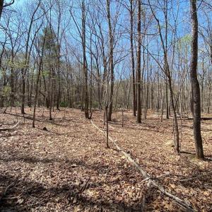 Photo #8 of 38 CREEKSIDE CL, NELLYSFORD, VA 1.1 acres