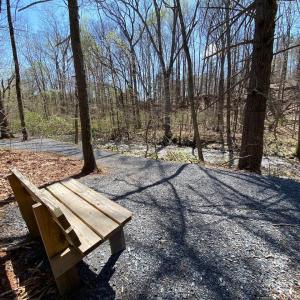 Photo #13 of 38 CREEKSIDE CL, NELLYSFORD, VA 1.1 acres