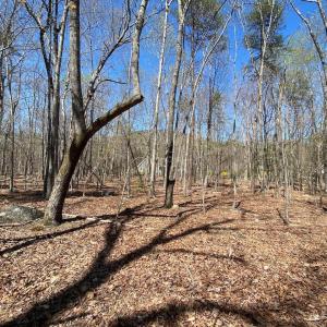 Photo #7 of 38 CREEKSIDE CL, NELLYSFORD, VA 1.1 acres